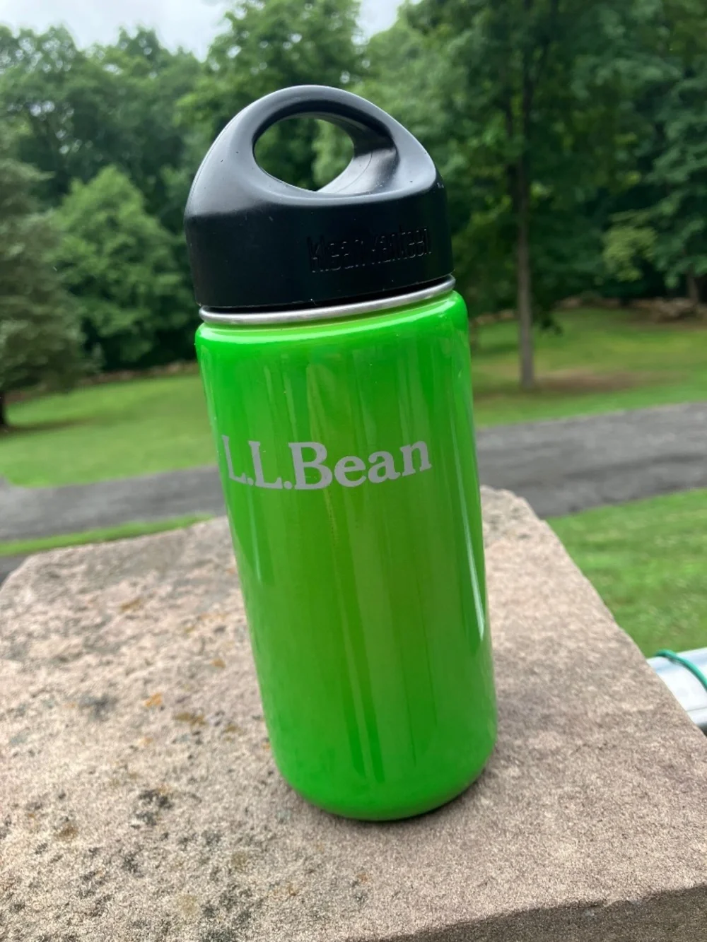 Klean Kanteen Classic 18 oz Stainless Bottle - Green